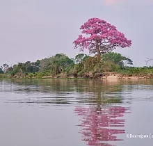 ополнительное фото тура 