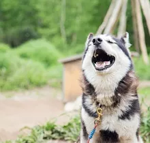 ополнительное фото тура 