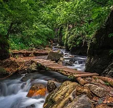 ополнительное фото тура 