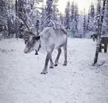 ополнительное фото тура 