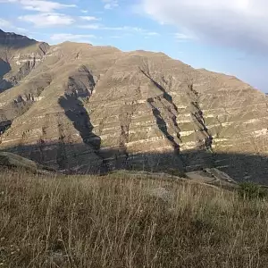 Фото отзыва