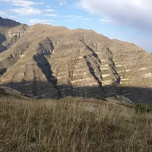 Фото отзыва