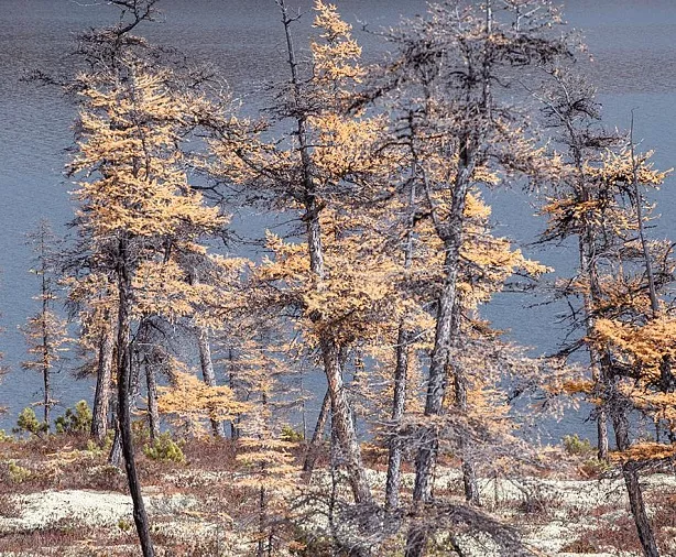 Изображение статьи Колыма: Озеро Джека Лондона. Как добраться, что посмотреть туристу. Туры России