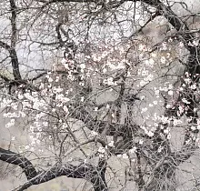 ополнительное фото тура 