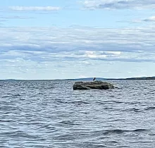 ополнительное фото тура 