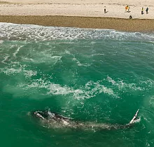 ополнительное фото тура 