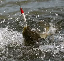 ополнительное фото тура 