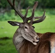 ополнительное фото тура 