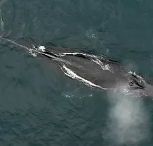 ополнительное фото тура 