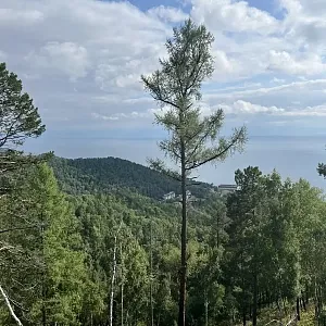 Фото отзыва