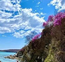 Фото дня 6 тура Ныряй в Приморье