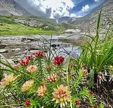 ополнительное фото тура 