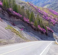 ополнительное фото тура 