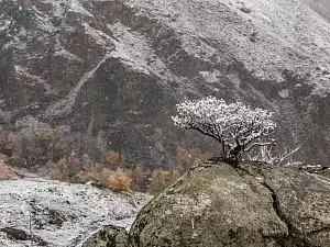 Осень на Алтае