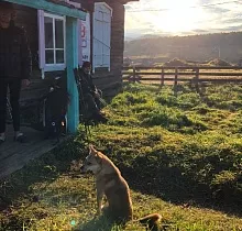 ополнительное фото тура 