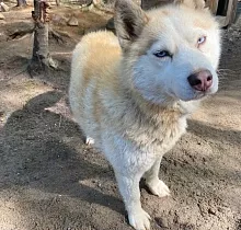 ополнительное фото тура 