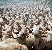 ополнительное фото тура 