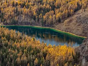 Осень на Алтае