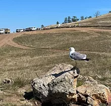 ополнительное фото тура 