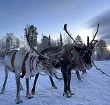 ополнительное фото тура 