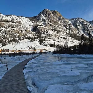 Фото отзыва