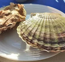 Фото дня 1 тура «Приморский микс» сезон май-сентябрь