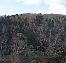 ополнительное фото тура 