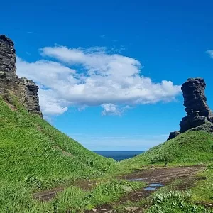 Фото отзыва