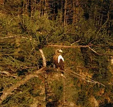 ополнительное фото тура 