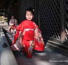 Фото дня 8 тура ПОЛНЫЙ ТУР ПО ЯПОНИИ 15 ДНЕЙ
