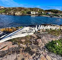 ополнительное фото тура 