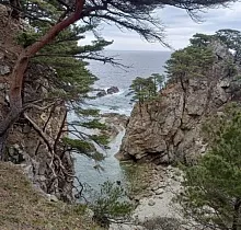 Фото дня 5 тура Весенняя рапсодия