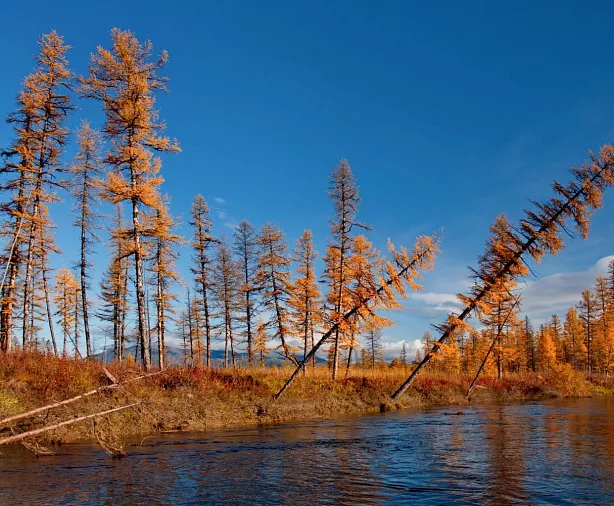 Изображение статьи Колыма: сплав и рыбалка по р. Большая Купка, Магаданская область Туры России