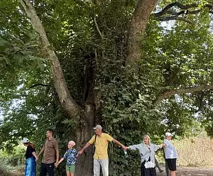 Тур 