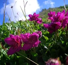 ополнительное фото тура 