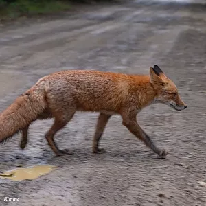 Фото отзыва