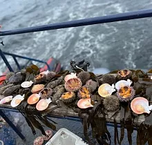 ополнительное фото тура 