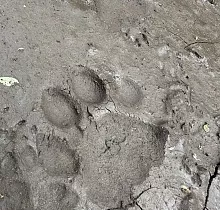 ополнительное фото тура 