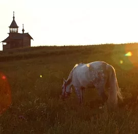 Тур Тур на июньские праздники в Карелию