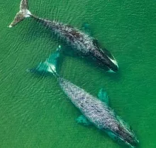 ополнительное фото тура 