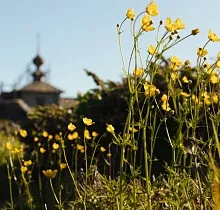 ополнительное фото тура 