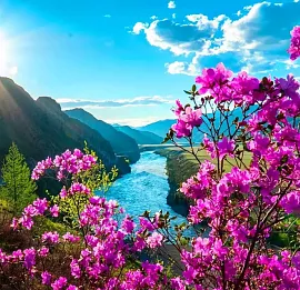 Тур ЦВЕТУЩИЙ АЛТАЙ (МАРС + ГЕЙЗЕРОВОЕ ОЗЕРО + ШАМАН)