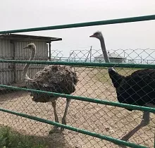 ополнительное фото тура 