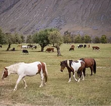 ополнительное фото тура 