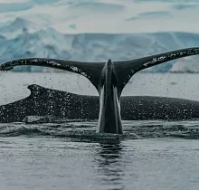 ополнительное фото тура 