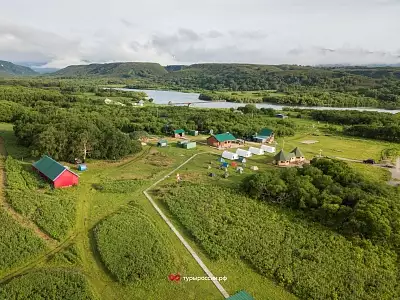 Медведи на Курильском озере