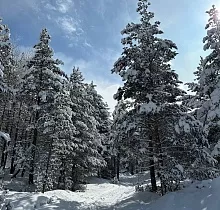 ополнительное фото тура 