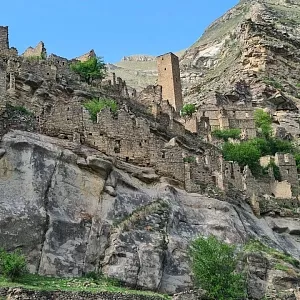 Фото отзыва