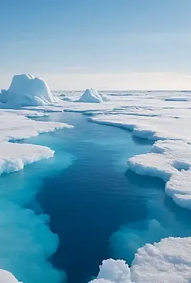 Покорить Северный полюс в России