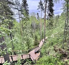 ополнительное фото тура 